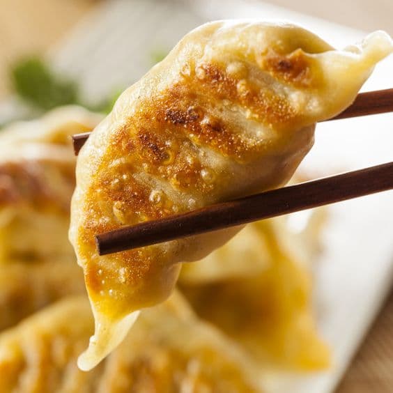 Gyoza au Poulet